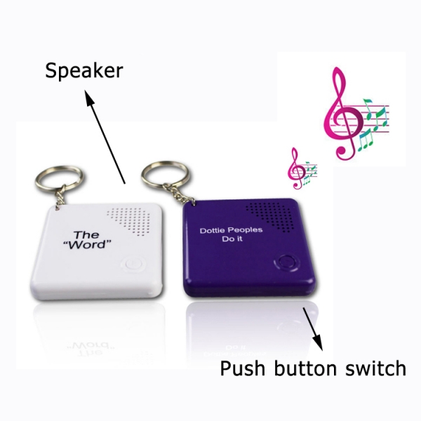 Creative Personal ABS Sound Keychains for promotions gifts