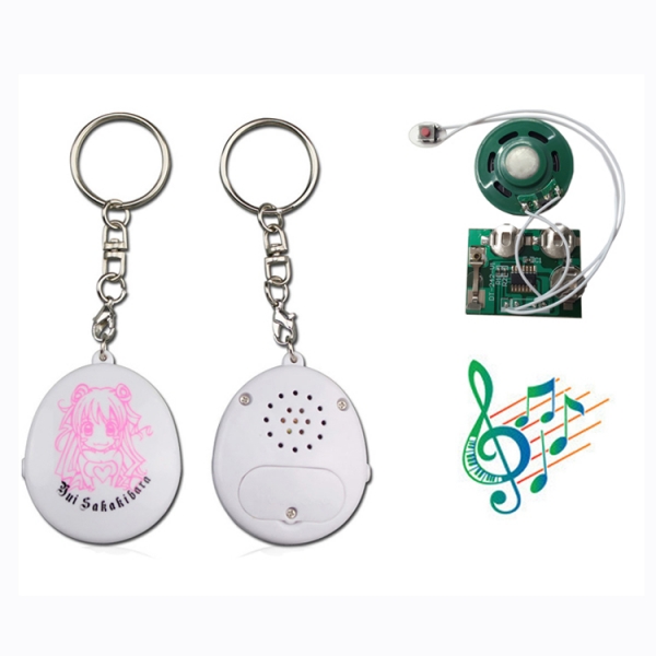2018 Top hot sales Fancy Talking keychains customized 