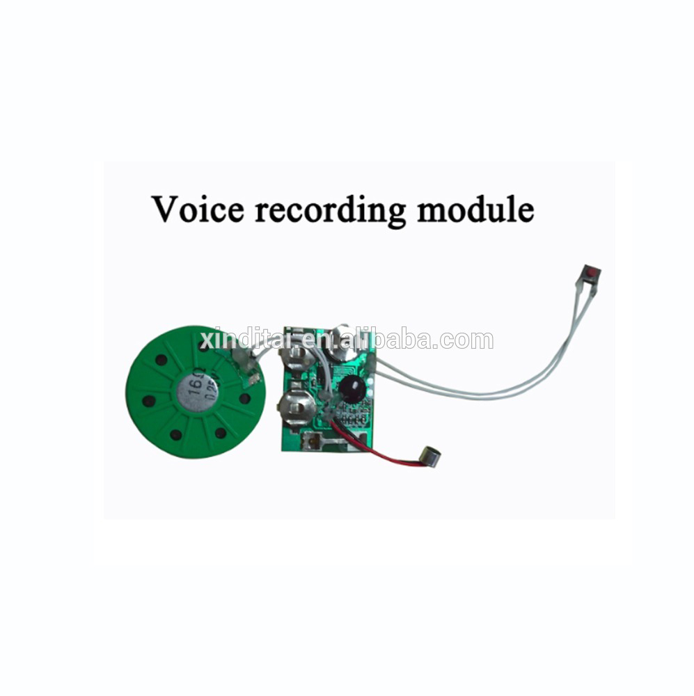 recordable sound chip