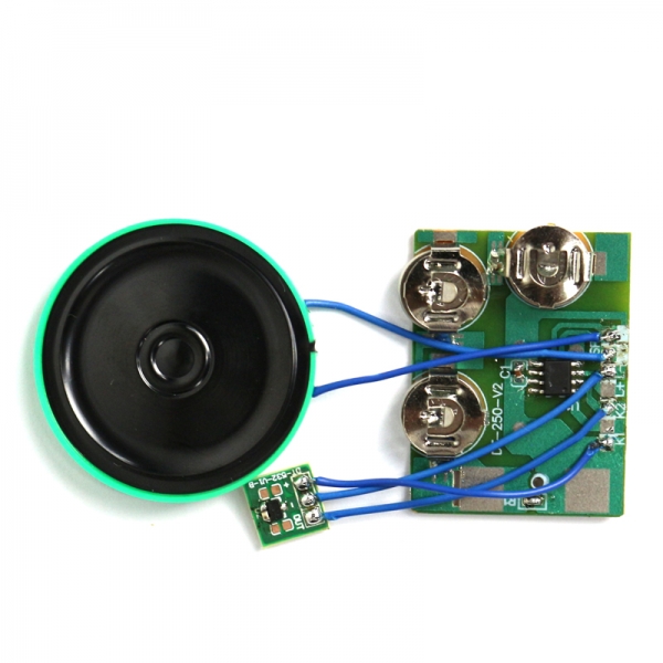 Programmable magnetic switch sound module for cards and gift box