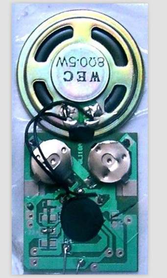sound module (1)
